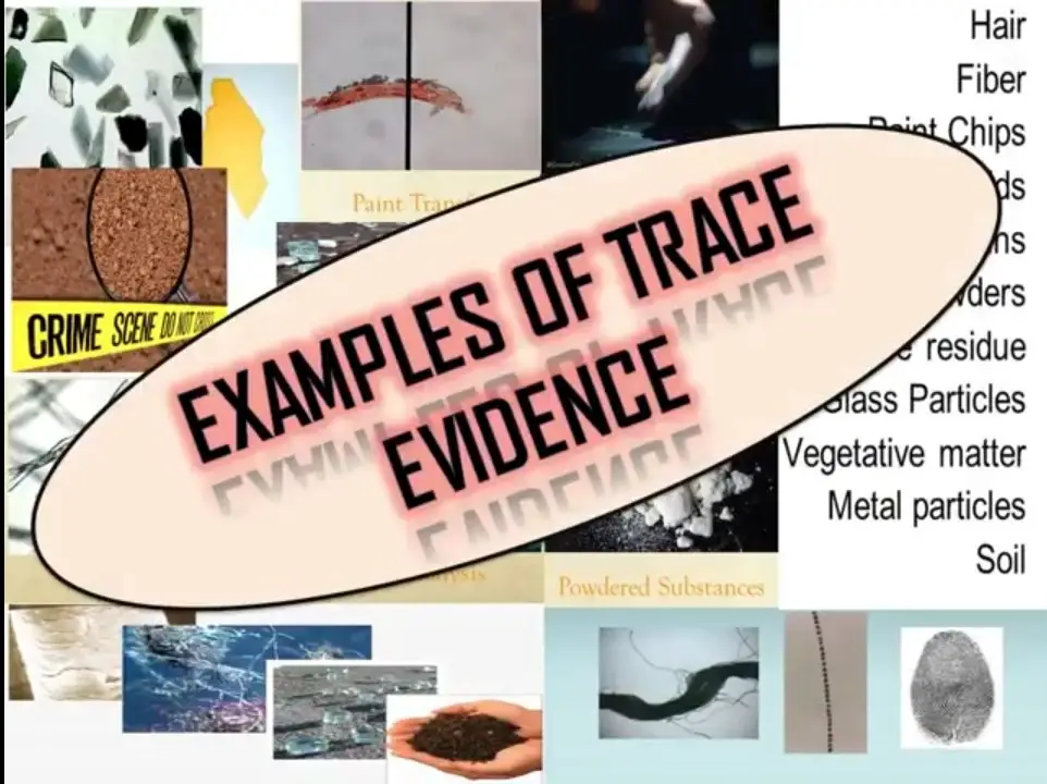 case study 9.1 a web of trace evidence