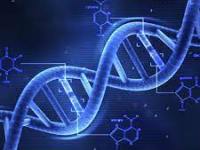 DNA: from the basics to It’s applicability in Forensic Science