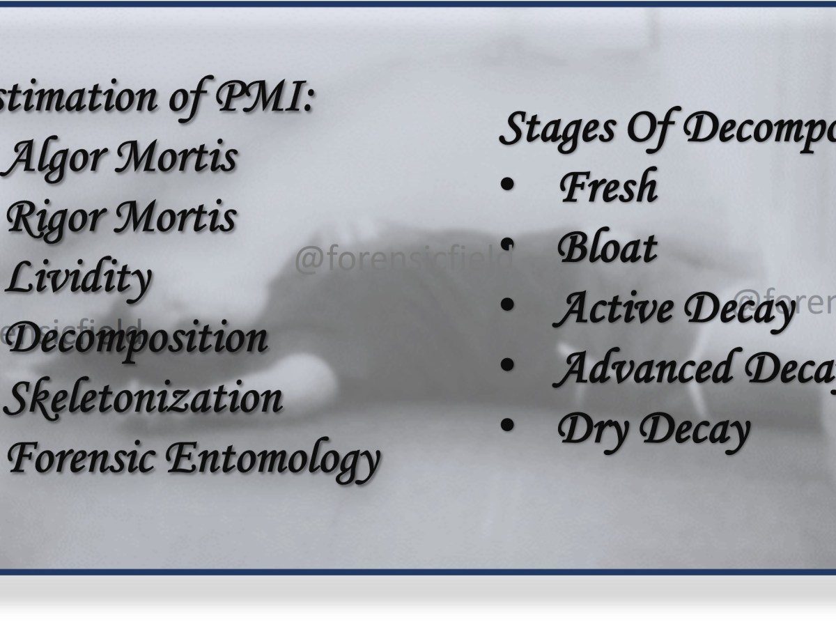 Stages of Decomposition: Forensic’s Blog