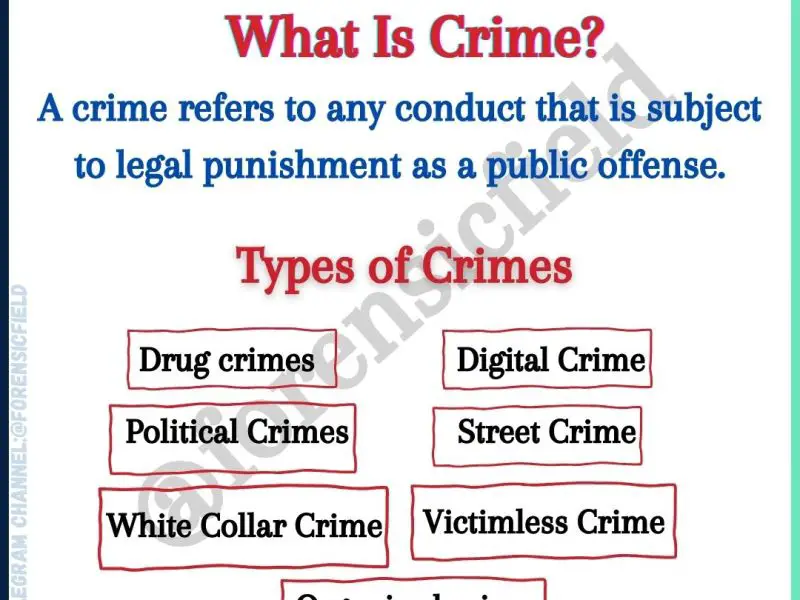 Definition and Types of Crime